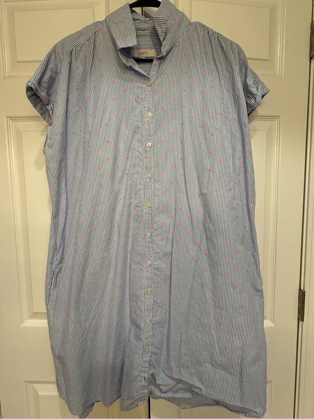 LOFT Light Blue Pinstripe Shirt Dress with Hot Pink Accents